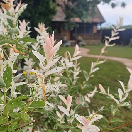 Koliba Brezova Suma Covic Polje